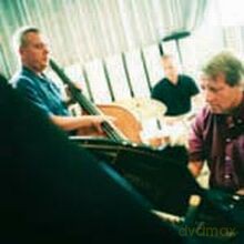 Roy Hellvin Trio: Old Friends [CD]