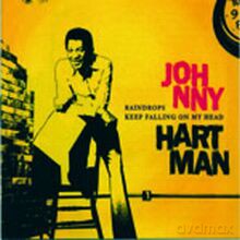 Johnny Hartman: Raindrops Keep Falling From My Head [CD]