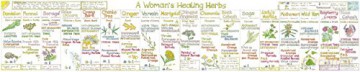 Herbal Chart: Women's - Liz Cook [KSIĄŻKA]