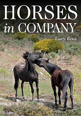 Horses in Company - Lucy Rees [KSIĄŻKA]