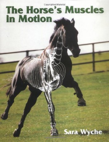 Horse's Muscles in Motion - Sara Wyche [KSIĄŻKA]