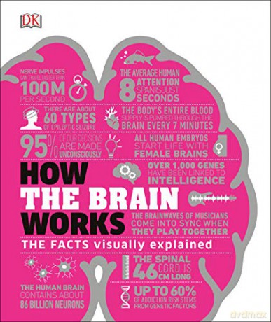 How the Brain Works: The Facts Visually Explained (How It Works) [KSIĄŻKA]