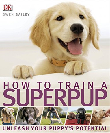 How to Train a Superpup: Unleash your puppy's potential - Gwen Bailey [KSIĄŻKA]