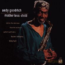 Andy Goodrich: Motherless Child [CD]