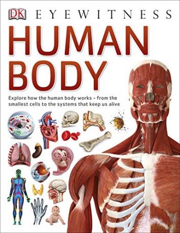 Human Body (DK Eyewitness) [KSIĄŻKA]
