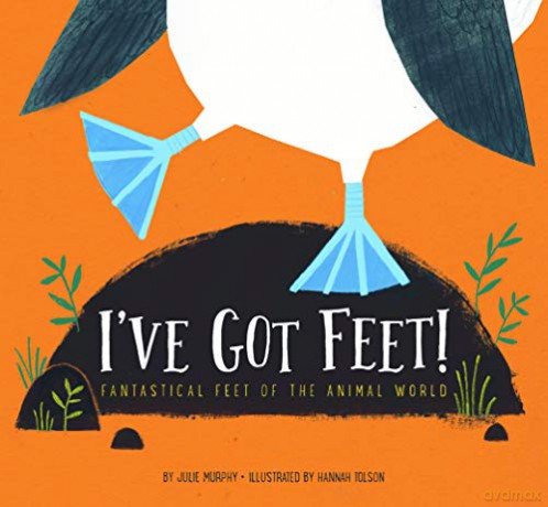 I've Got Feet!: Fantastical Feet of the Animal World - Julie Murphy [KSIĄŻKA]