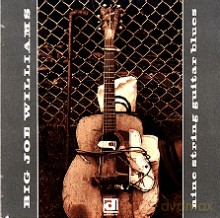 Big Joe Williams: Nine String Guitar Blues [CD]