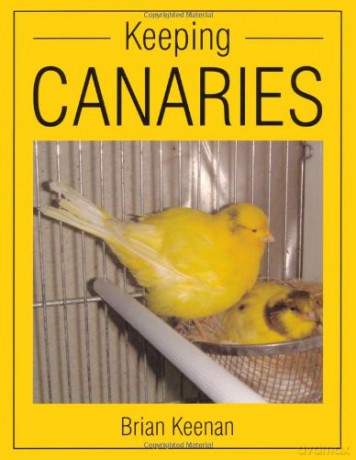 Keeping Canaries - Brian Keenan [KSIĄŻKA]