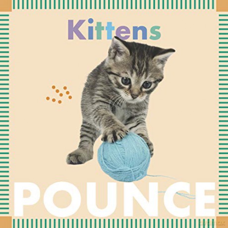 Kittens Pounce (Amicus Ink Board Books) - Rebecca Glaser [KSIĄŻKA]