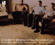 Chicago Underground Trio: Possible Cube [CD]