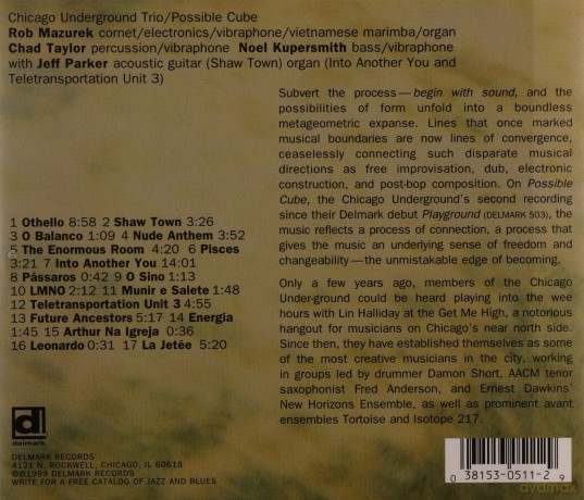 Chicago Underground Trio: Possible Cube [CD]