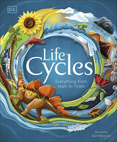 Life Cycles: Everything from Start to Finish [KSIĄŻKA]