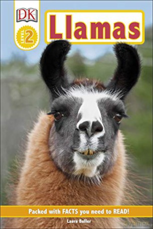 Llamas (DK Readers Level 2) [KSIĄŻKA]