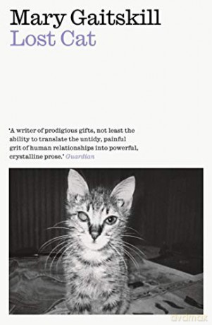 Lost Cat - Mary Gaitskill [KSIĄŻKA]