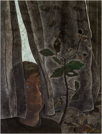 Lucian Freud: Drawings: Selected by William Feaver - William Feaver [KSIĄŻKA]