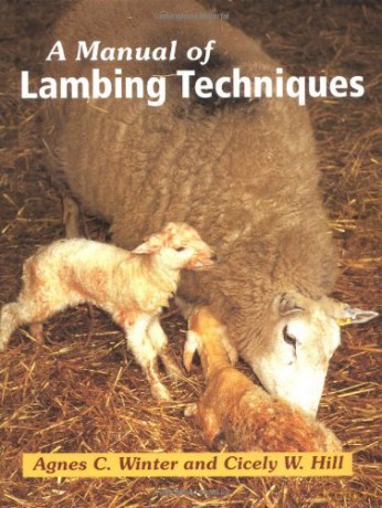 Manual of Lambing Techniques - Agnes C. Winter [KSIĄŻKA]
