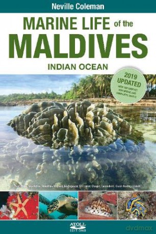 Marine Life of the Maldives - Indian Ocean - Neville Coleman [KSIĄŻKA]