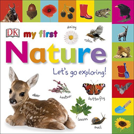 My First Nature Let's Go Exploring (My First Tabbed Board Book) [KSIĄŻKA]