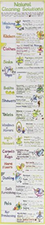 Natural Cleaning Solutions Chart - Liz Cook [KSIĄŻKA]