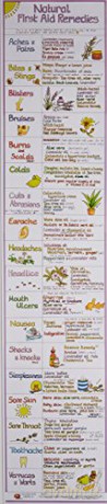 Natural First Aid Remedies Chart - Liz Cook [KSIĄŻKA]