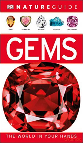 Nature Guide Gems: The World in Your Hands (DK Nature Guide) [KSIĄŻKA]
