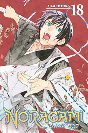 Noragami: Stray God 18 [KSIĄŻKA]