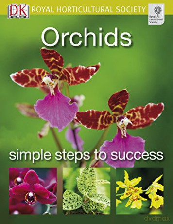 Orchids (RHS Simple Steps to Success) [KSIĄŻKA]