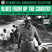 Różni Wykonawcy: Blues From Up The Country [CD]