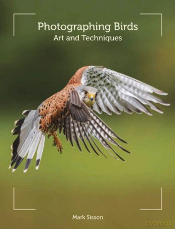 Photographing Birds: Art and Techniques - Mark Sisson [KSIĄŻKA]