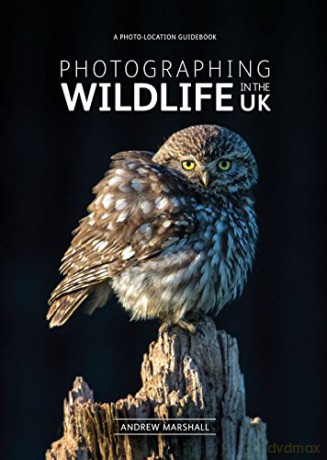 Photographing Wildlife in the UK - where and how to take great wildlife photographs - Andrew Marshall [KSIĄŻKA]