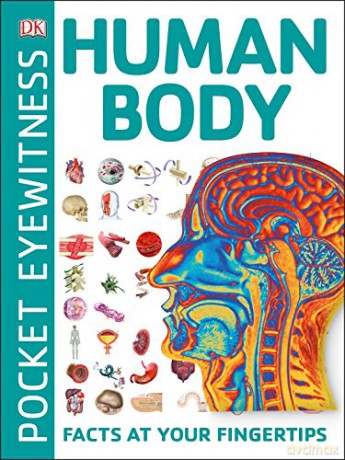 Pocket Eyewitness Human Body: Facts at Your Fingertips [KSIĄŻKA]