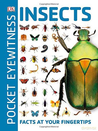 Pocket Eyewitness Insects: Facts at Your Fingertips [KSIĄŻKA]