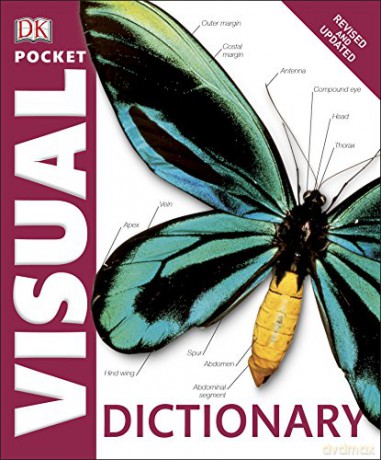 Pocket Visual Dictionary (Dictionaries) [KSIĄŻKA]
