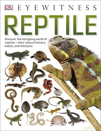 Reptile (DK Eyewitness) [KSIĄŻKA]