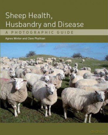 Sheep Health, Husbandry and Disease: A Photographic Guide - Agnes C. Winter [KSIĄŻKA]