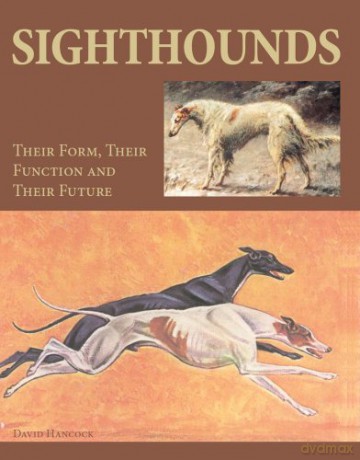 Sighthounds: Their Form, Their Function and Their Future - David Hancock MBE [KSIĄŻKA]