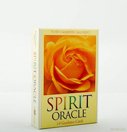 Spirit Oracle: 54 Guidance Cards, Book and Oracle Card Set - Toni Carmine Salerno [KSIĄŻKA]