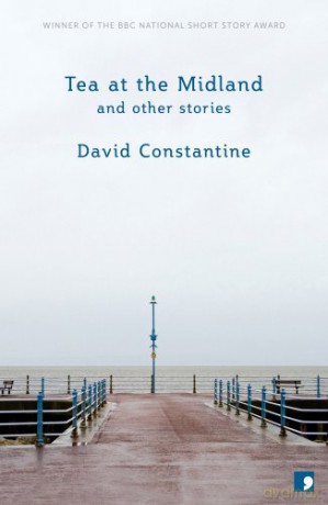 Tea at the Midland: and Other Stories - David Constantine [KSIĄŻKA]