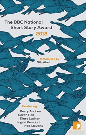 The BBC National Short Story Award 2018: 13 - Sarah Hall [KSIĄŻKA]