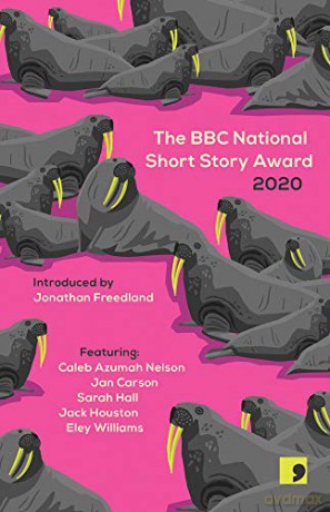 The BBC National Short Story Award 2020 - Sarah Hall [KSIĄŻKA]
