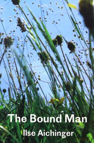 The Bound Man, and Other Stories - Ilse Aichinger [KSIĄŻKA]