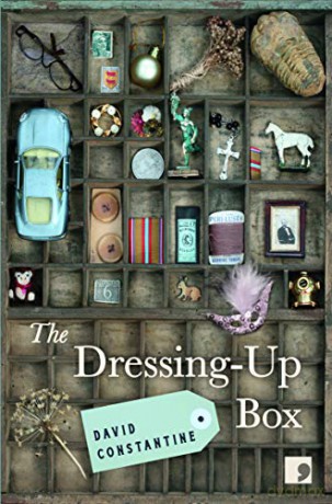 The Dressing-Up Box - David Constantine [KSIĄŻKA]