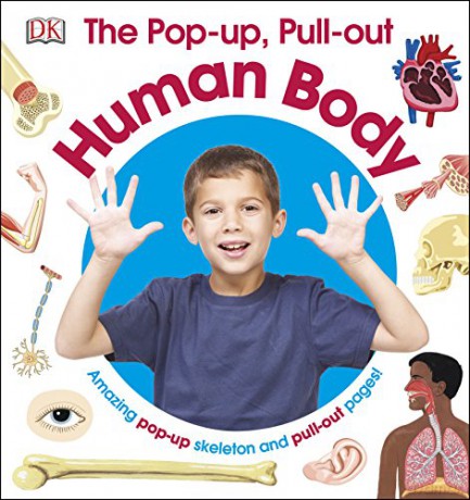 The Pop-up, Pull-out Human Body: Amazing Pop-up Skeleton and Pull-out Pages! [KSIĄŻKA]