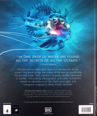 The Science of the Ocean: The Secrets of the Seas Revealed [KSIĄŻKA]