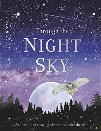Through the Night Sky: A collection of amazing adventures under the stars (Snap Facts) [KSIĄŻKA]