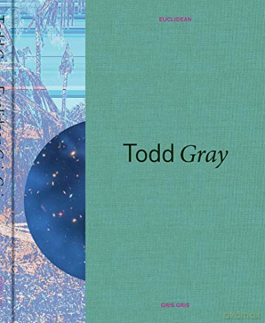 Todd Gray: Euclidean Gris Gris (POMONA COLLEGE) - Carrie Mae Weems [KSIĄŻKA]