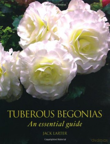 Tuberous Begonias: An Essential Guide - Jack Larter [KSIĄŻKA]