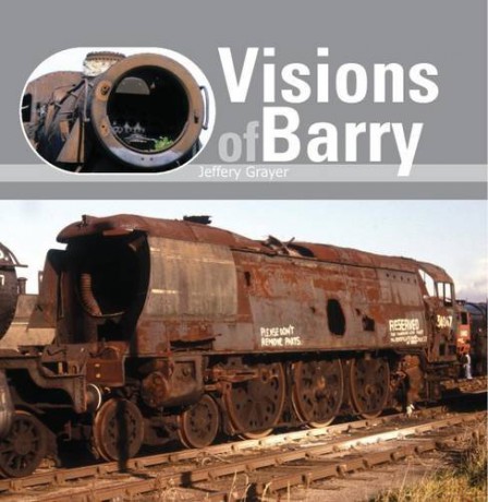 Visions of Barry - Jeffery Grayer [KSIĄŻKA]