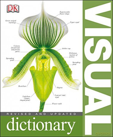 Visual Dictionary [KSIĄŻKA]