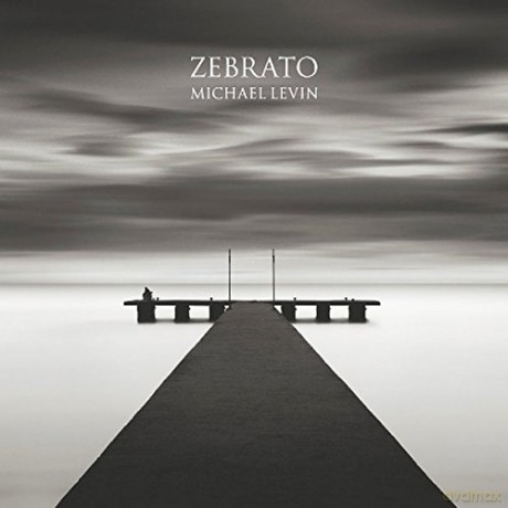 Zebrato - Michael Levin [KSIĄŻKA]